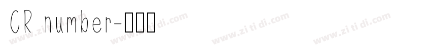 CR number字体转换
